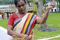 Gallery Thumbnail Image