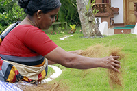 Gallery Thumbnail Image