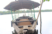 Gallery Thumbnail Image